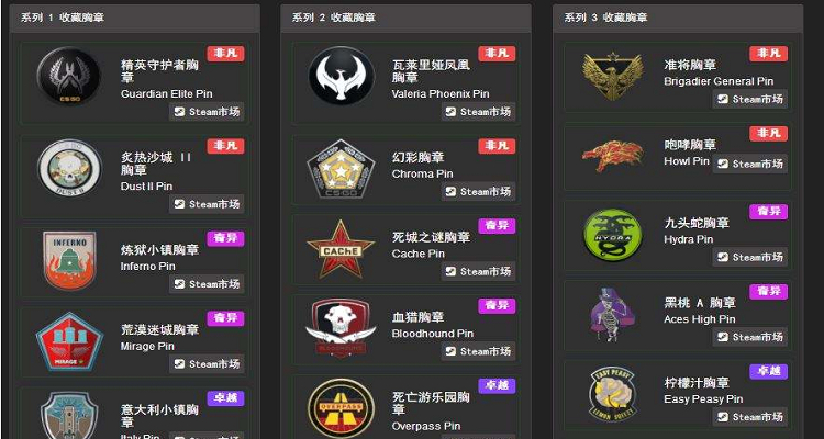 csgo胸章局内效果图片