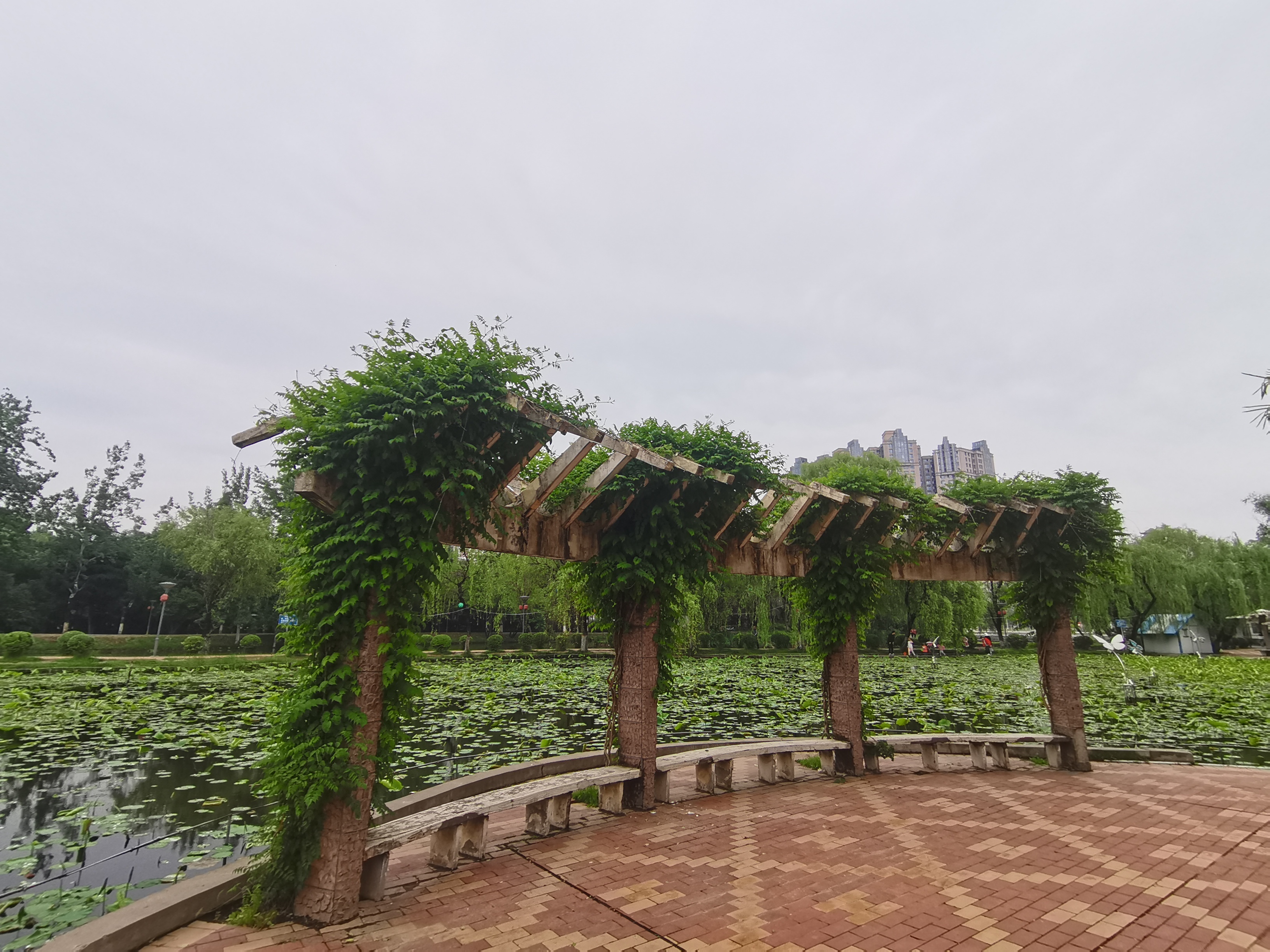咸阳湖景区详细介绍