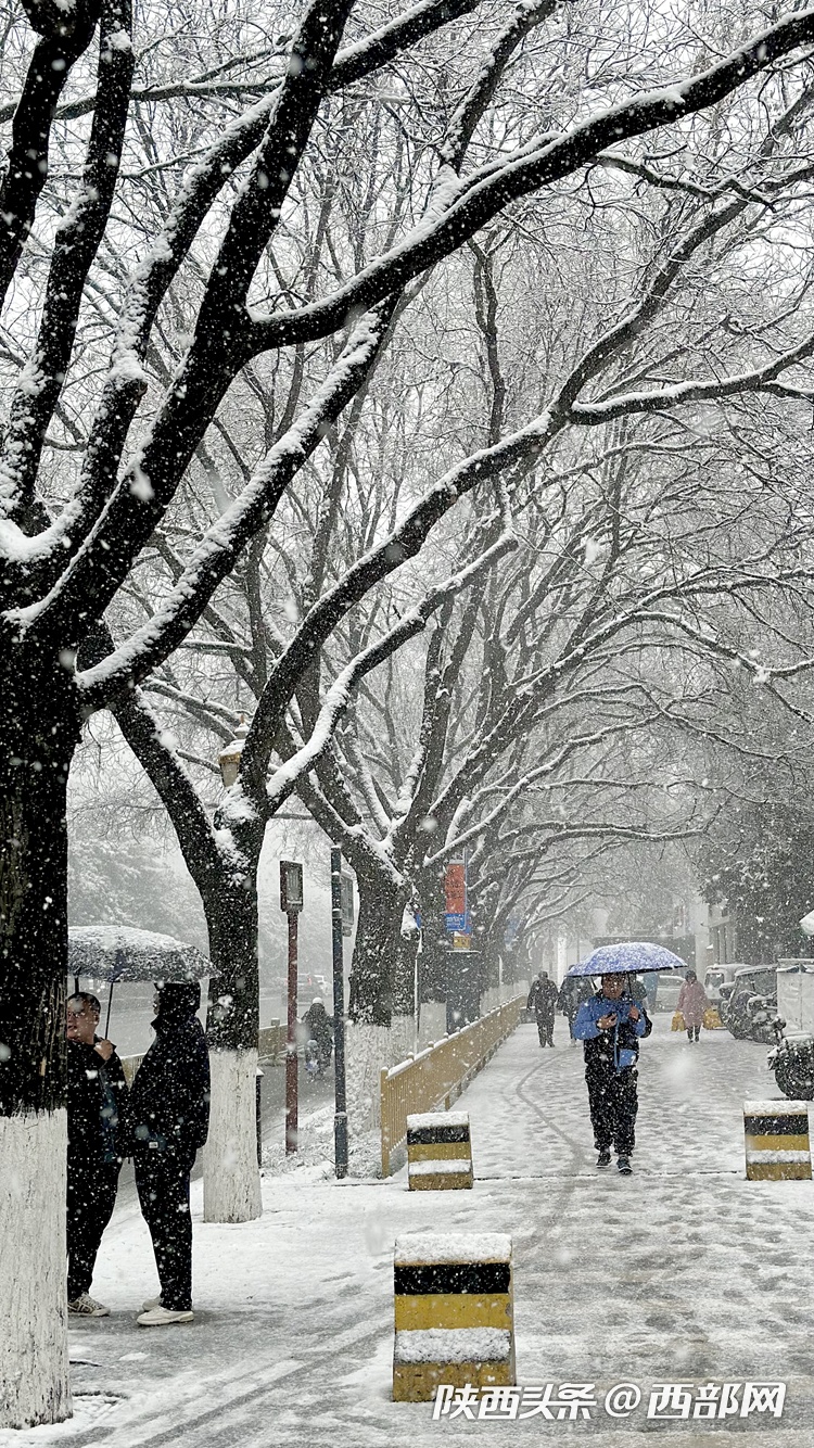 西安雪景图片真实图片