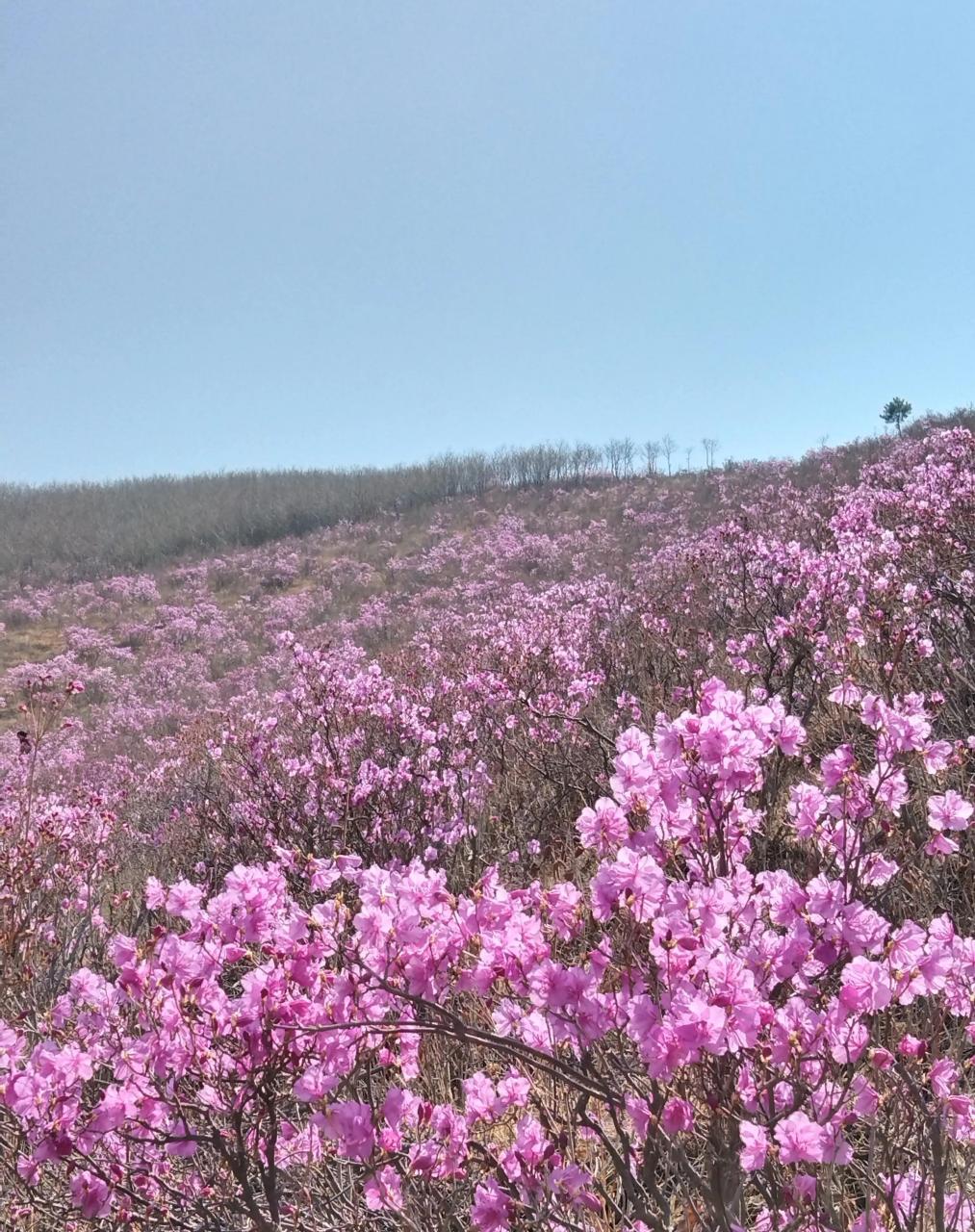 河北丰宁县图片