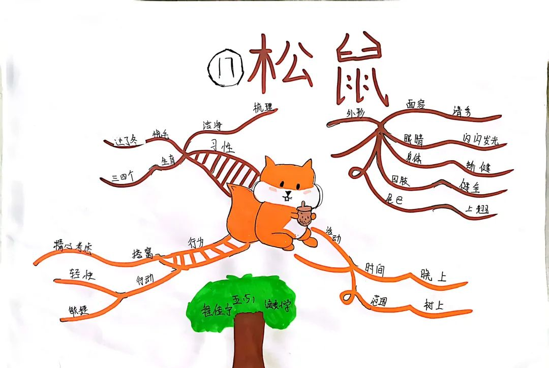 石家庄市藁城区通安小学2019