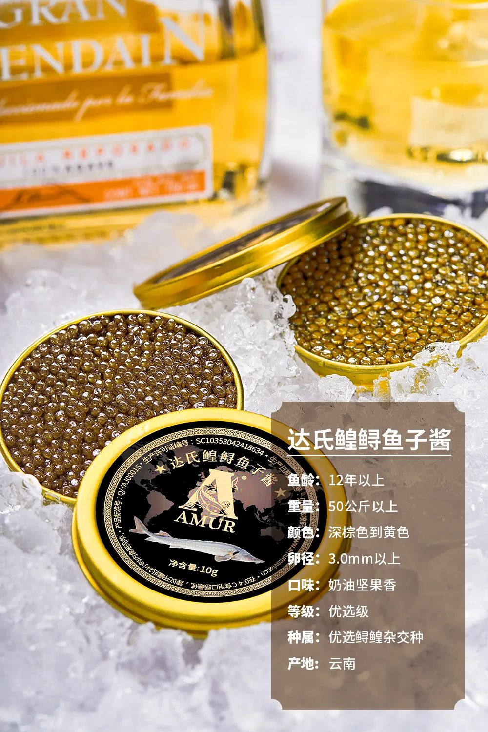 阿穆尔鲟鱼子酱|舌尖新宠 来点不一样的