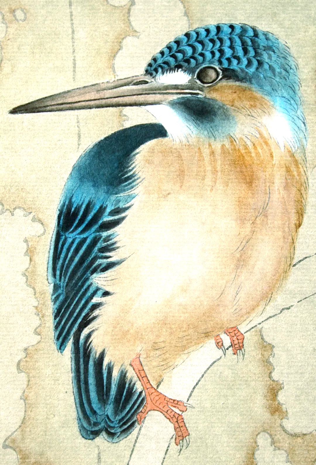 工笔花鸟画《翠鸟》创作步骤详解,实用且易学!