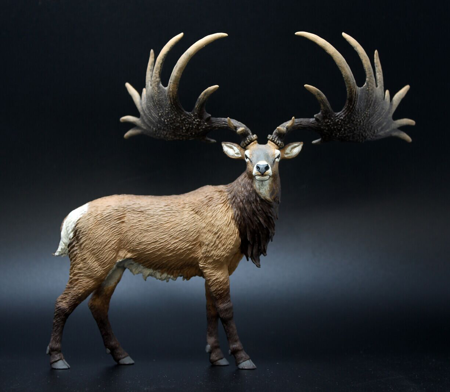 史前最大的鹿~大角鹿,它有多大?有人捕获过它,它还存在吗?