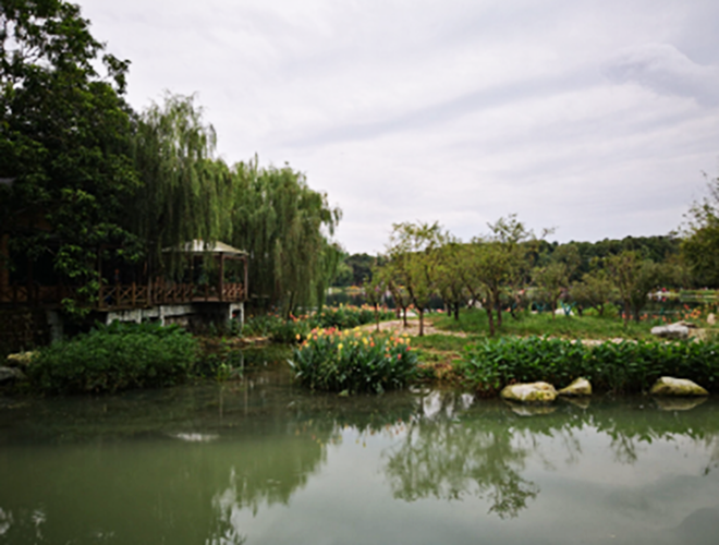 成都一座充满诗意的公园:成都浣花溪公园