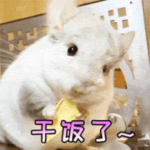 川大军训"幺蛾子"频出,但互相举报,真的很难理解