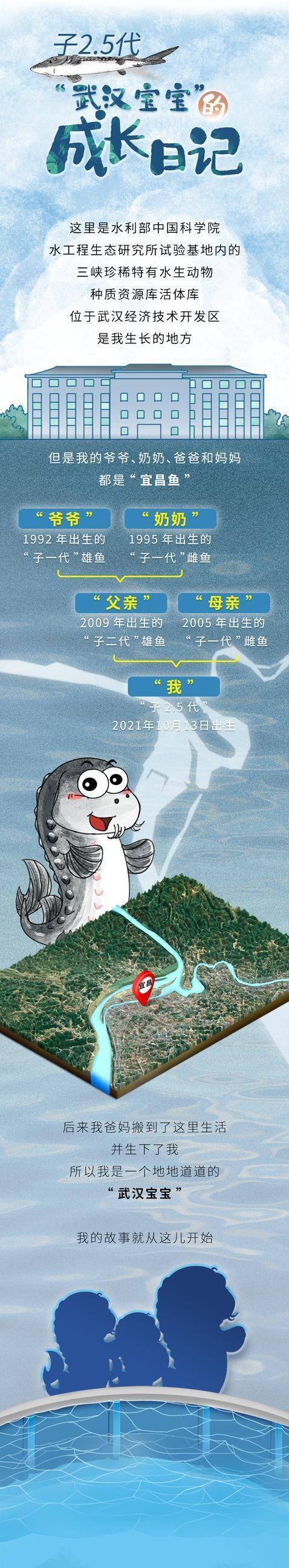 5万尾"远古神兽"回家了!