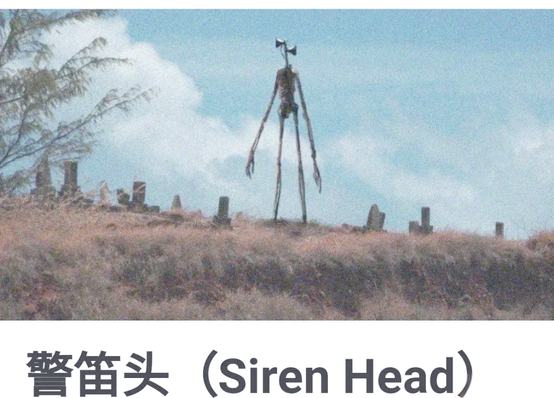 孩子作业中的警笛头:我未曾了解的新奇知识