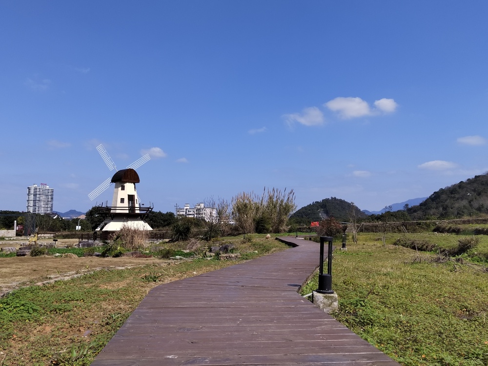 丽岙五社村:在美丽乡村"侨"见共富