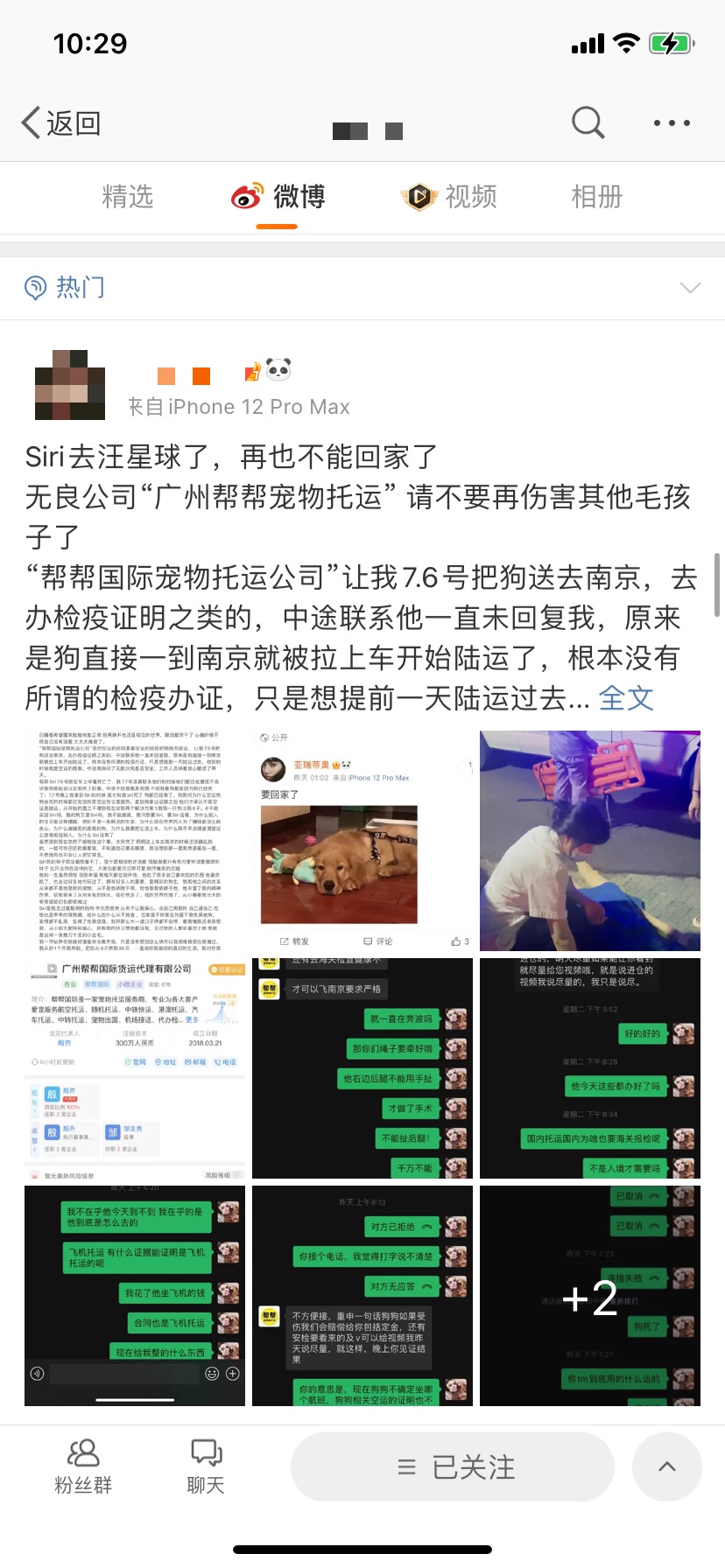 宠物托运机构"收空运钱走陆运"致金毛犬死亡?广州市监部门介入