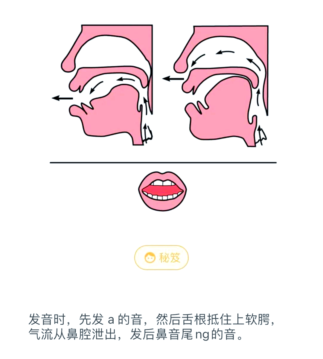 普通话韵母分类与发音技巧