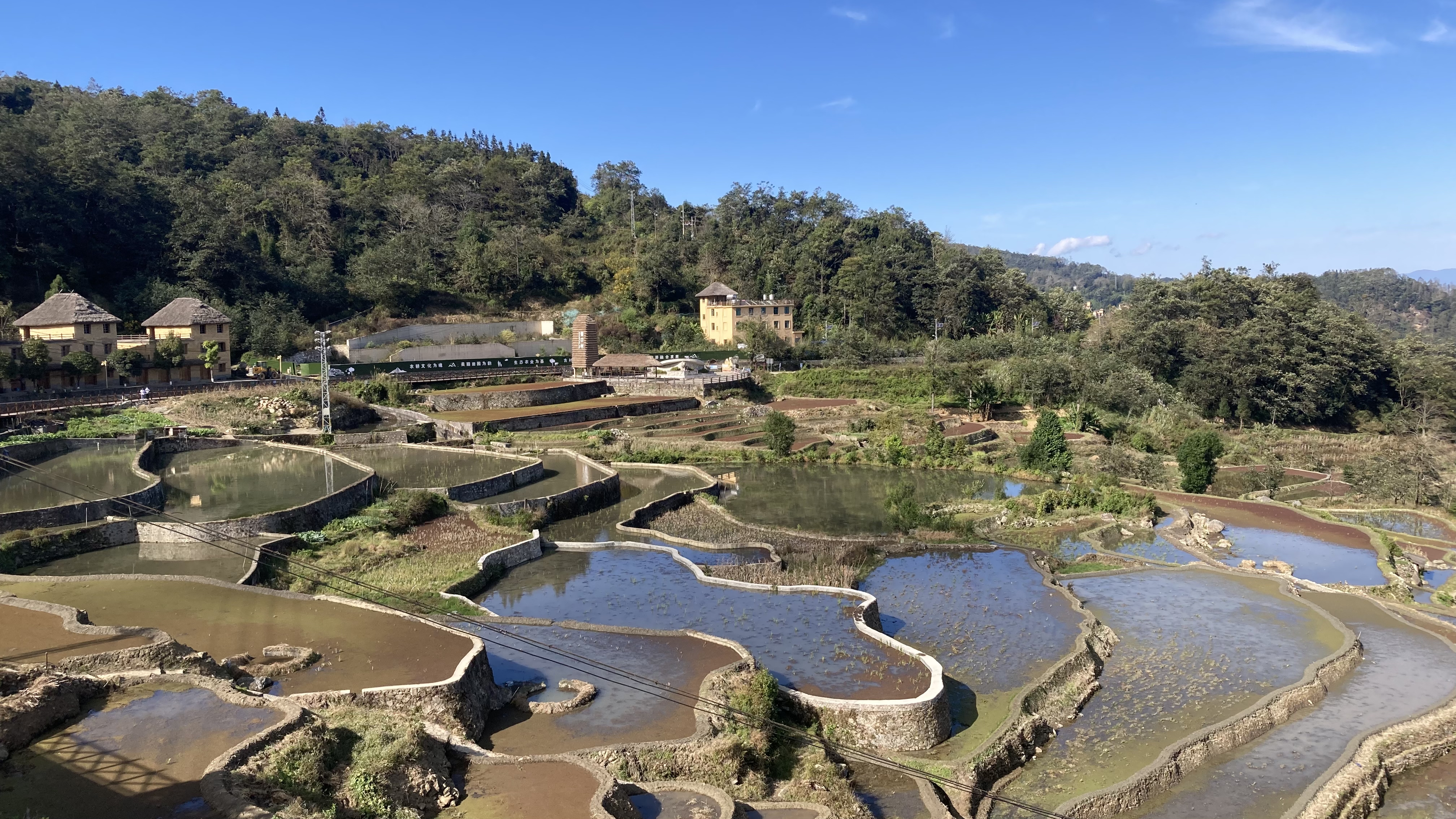 雲南元陽哈尼梯田自駕旅遊攻略