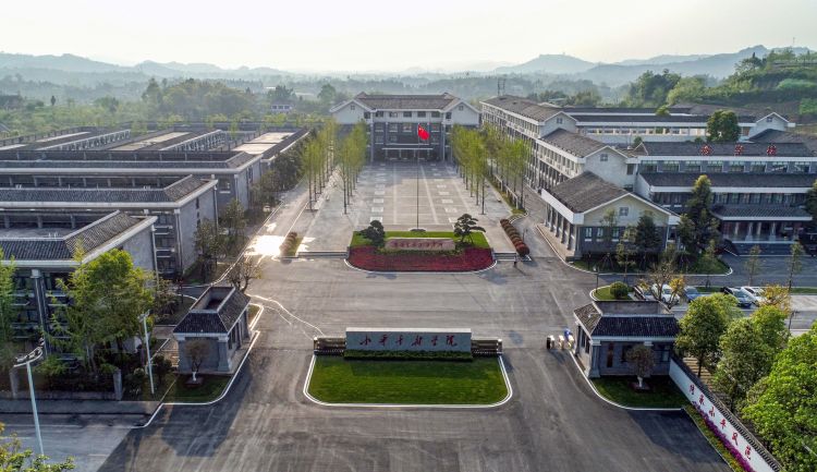 「原创」小平干部学院门口有棵"簕杜鹃"