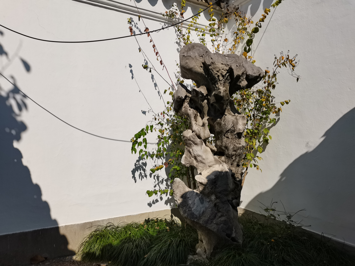 苏州环秀山庄-中国古典园林叠山艺术的杰作