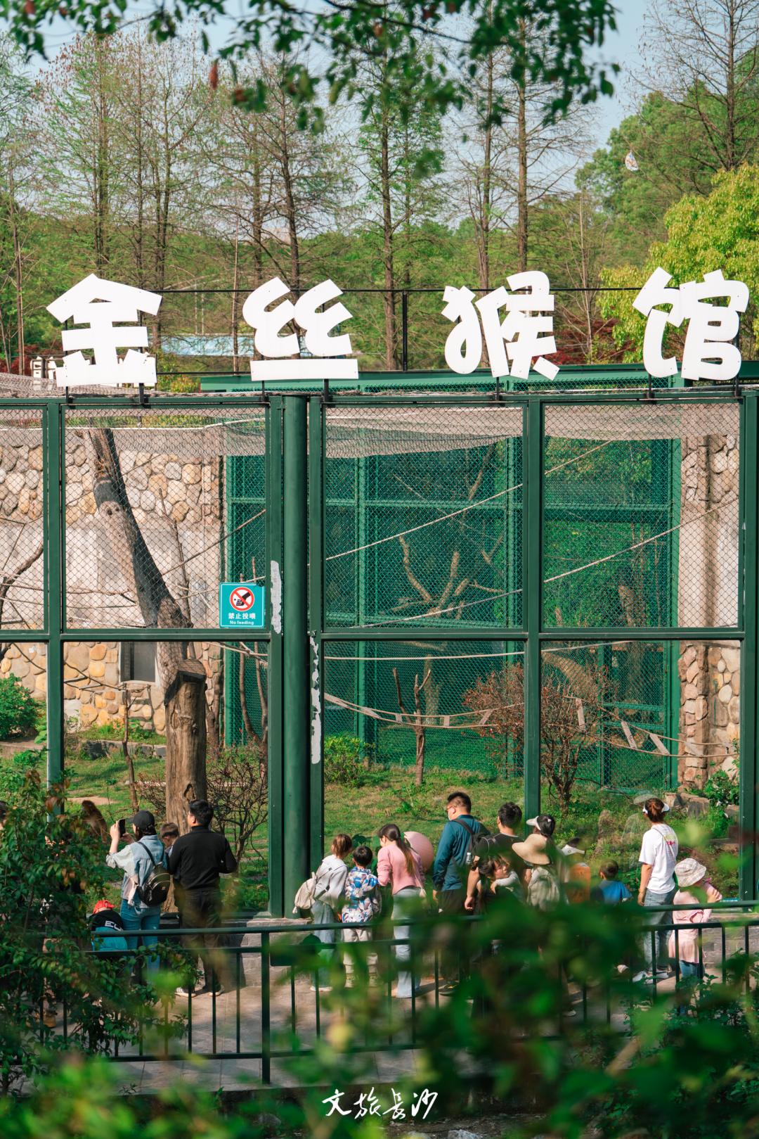 快去长沙动物园里开派对