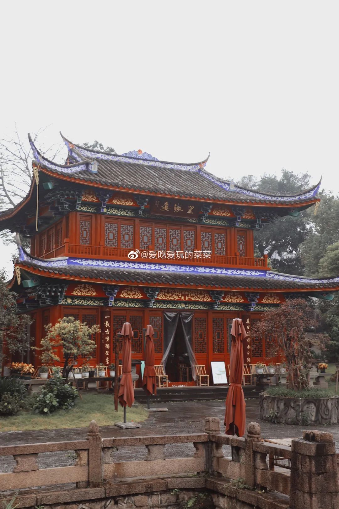 四海传福一口春茶一身福气