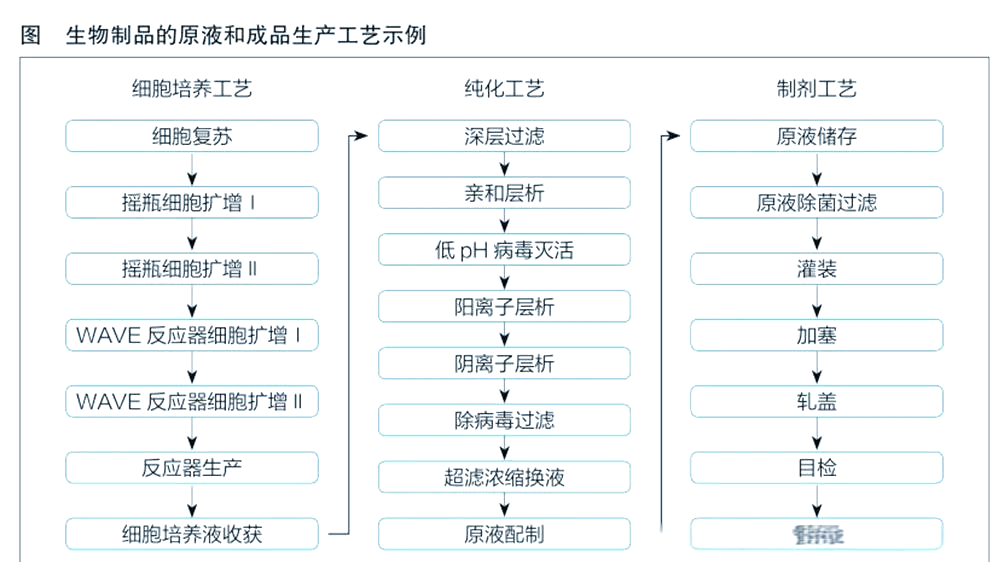 重庆生物技术行业：创新驱动未来