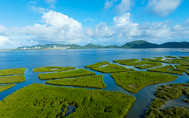 汉中加强湿地保护修复共创生态宜居之城