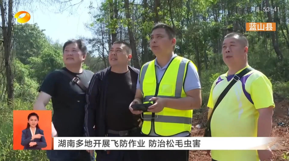 (湖南新闻联播)永州蓝山:开展飞防作业 防治松毛虫害