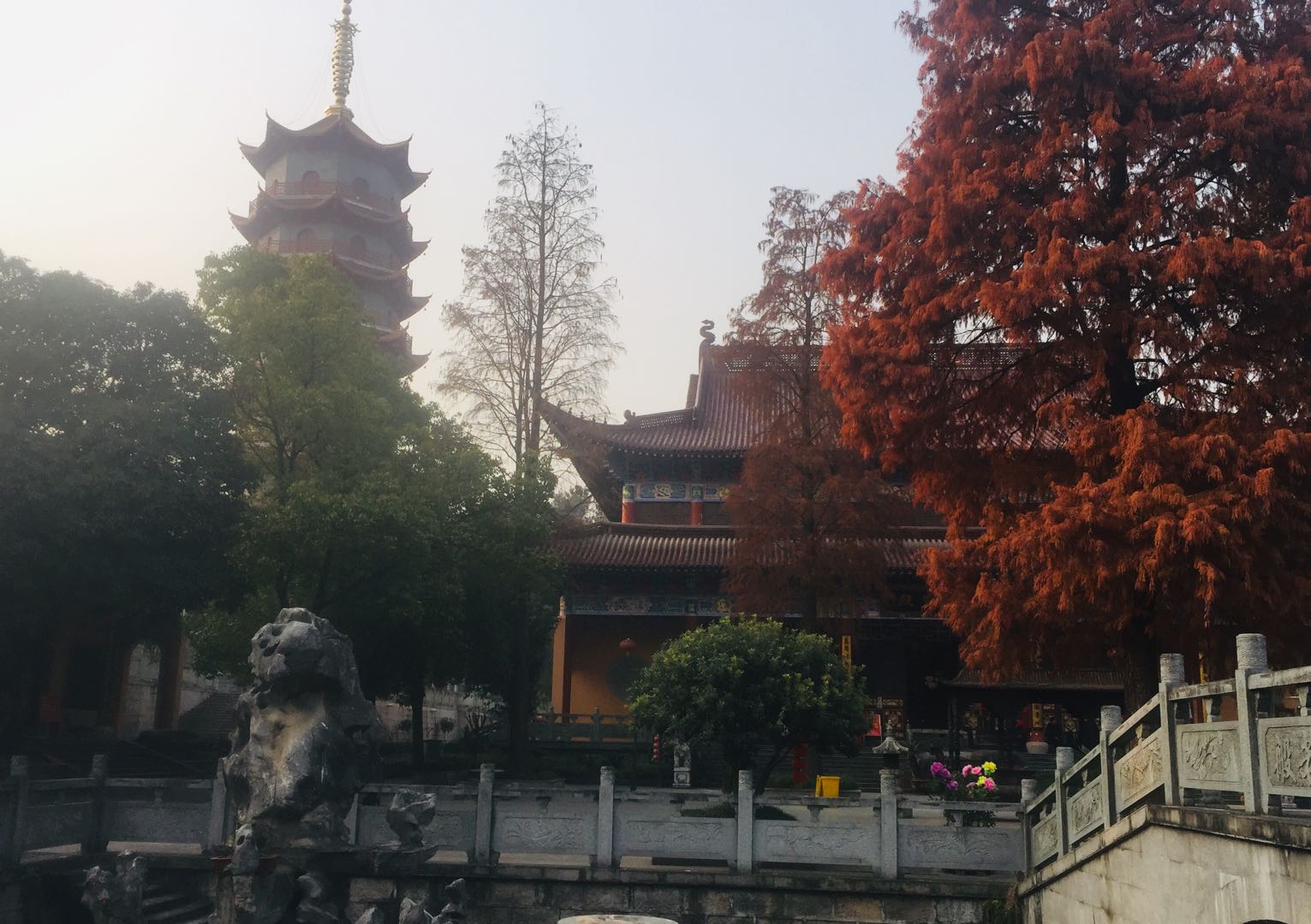 庚子年十一月十三访闲林梧桐寺