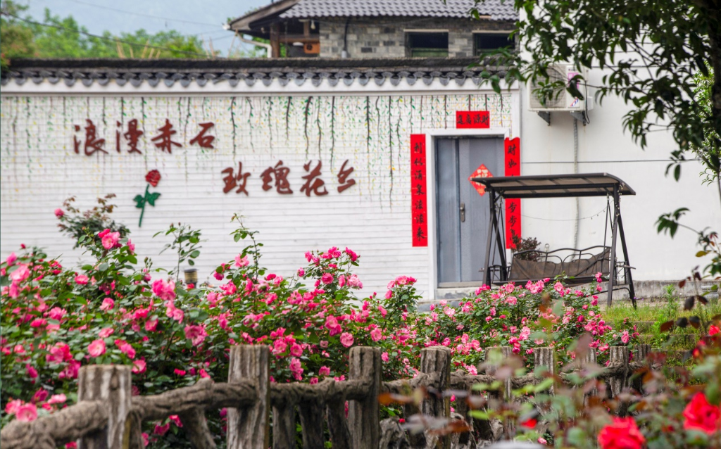 浙江云和:"花村"经济促增收