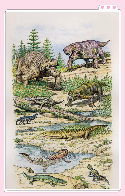 揭秘二叠纪两栖动物笠头螈的神秘世界