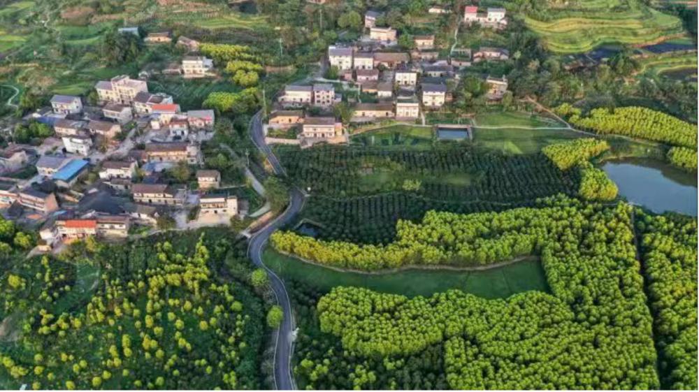 乡村集市,亲子课堂,非遗制作 北碚区柳荫镇多项春日活动邀你体验