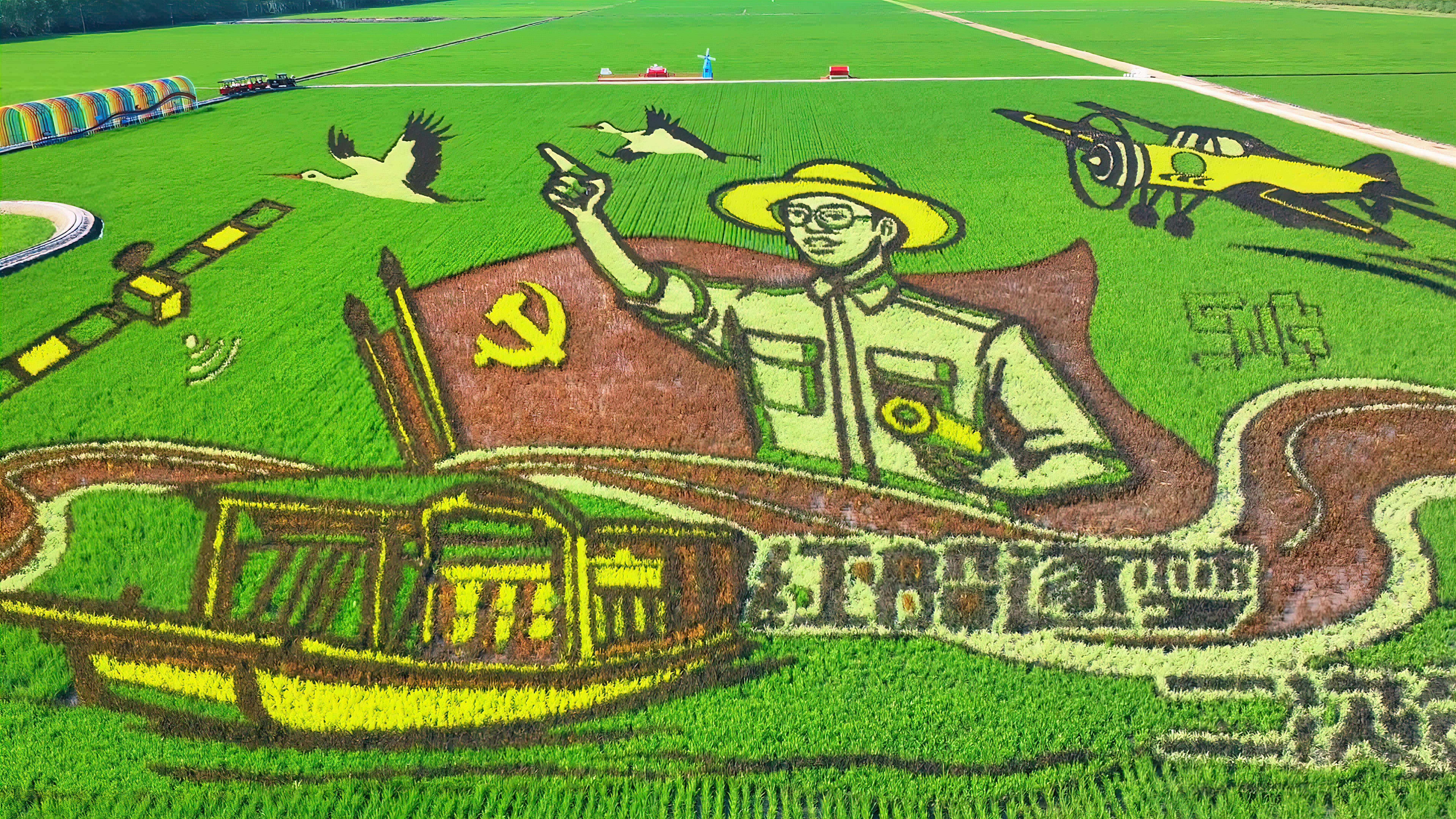 稻田里的龙江画卷 尽显北大荒风采