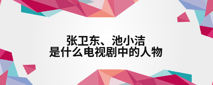 张卫东,池小洁是什么电视剧中的人物