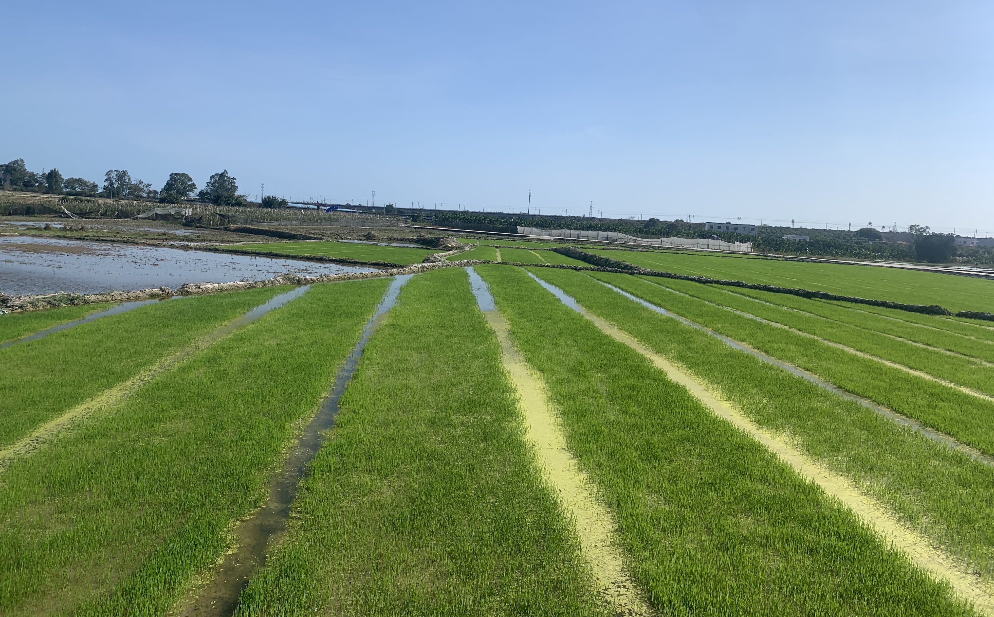 耕耘交织丰收 科技点亮田野