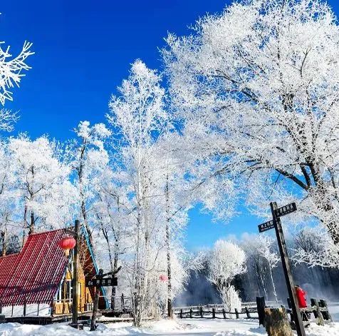 一山兩江 築夢冰天雪地