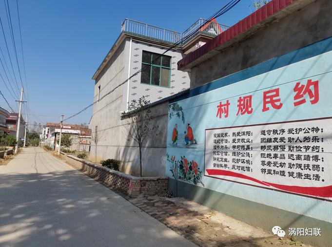 【美丽乡村建设】涡阳县丹城镇:美丽乡村建设见实效