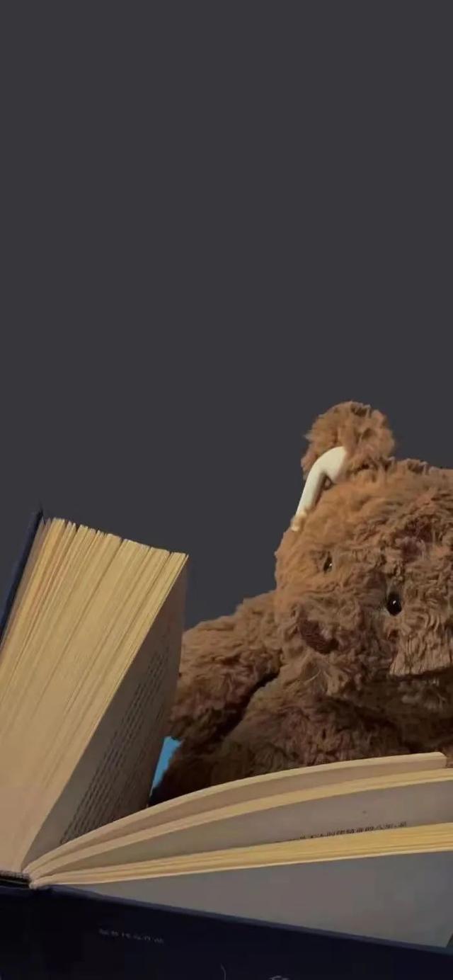 超萌小熊玩偶聊天背景图