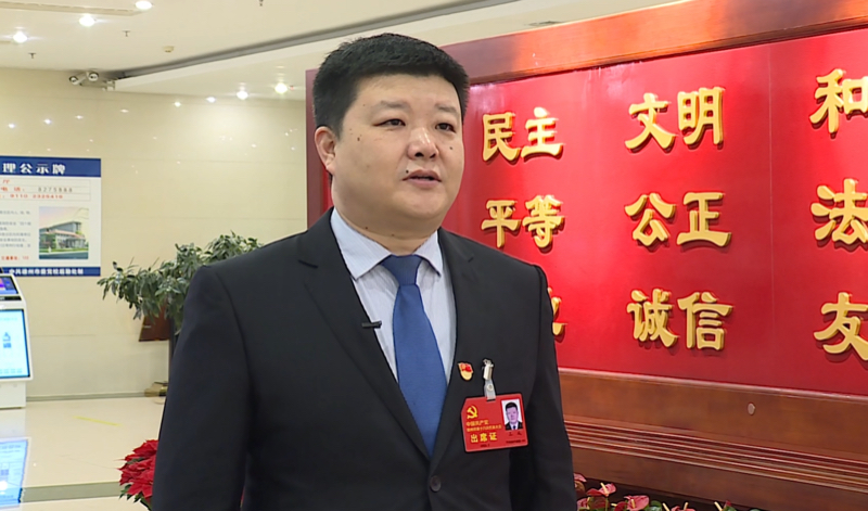 德州市党代表王成聚力精致城市品质宁津实施十大工程打造最靓卫星城