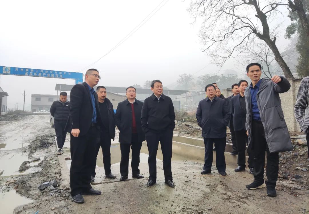 龙群跃到孟溪镇调研指导工作