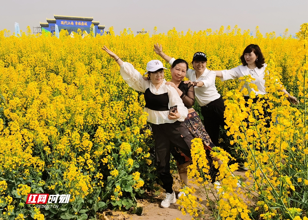 常德十美堂油菜花图片