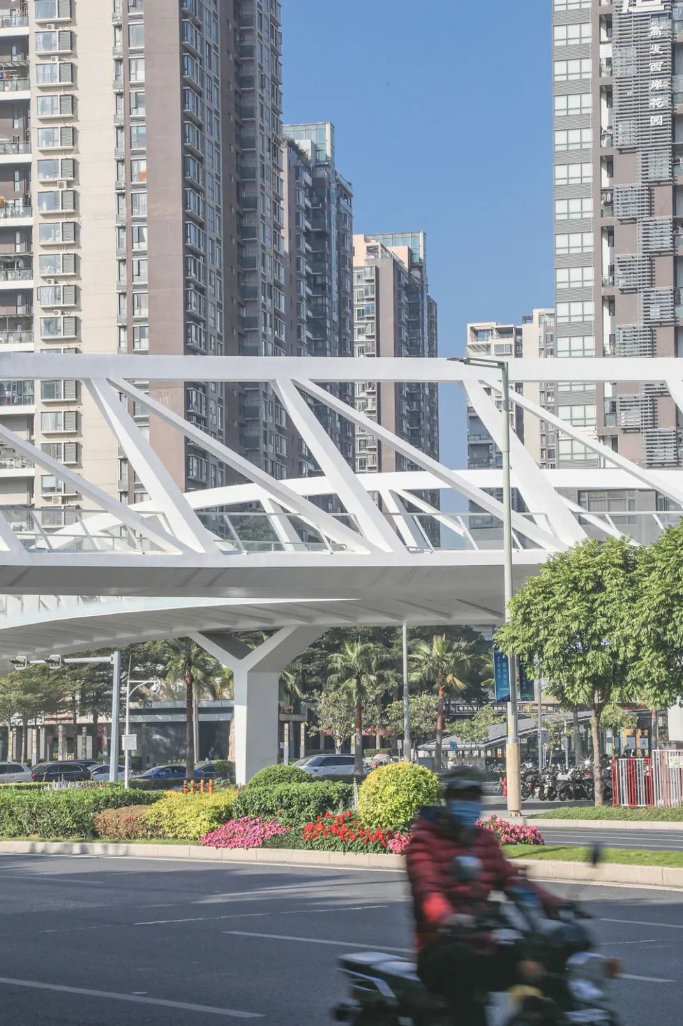 滨海廊桥!面向市民开放!新的城市地标来了!