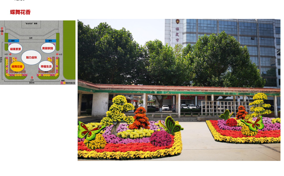 菊花展布展开封纳境种植基地