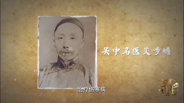 古树生生|仁心"仁树"