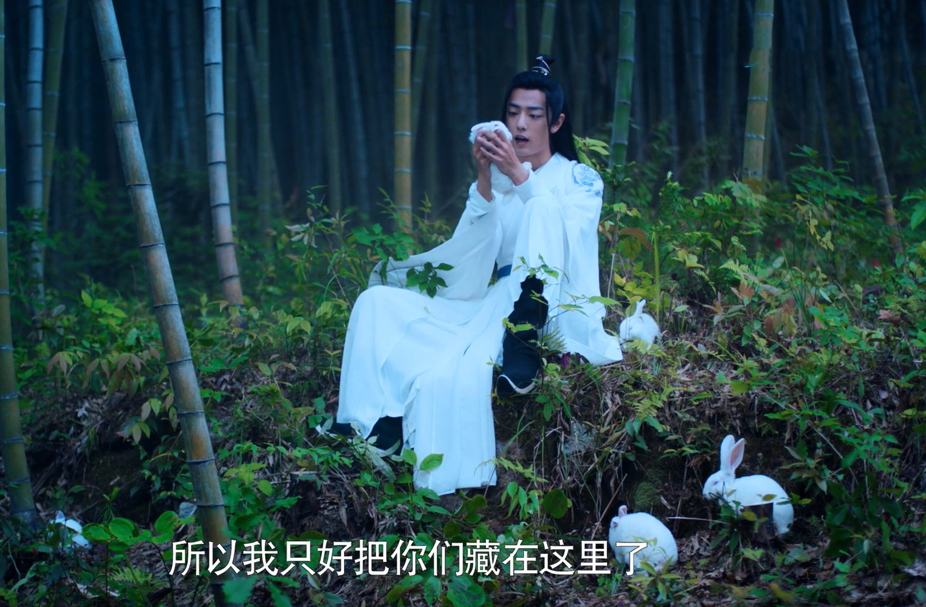 《陈情令》兔子对忘羡意味着什么?