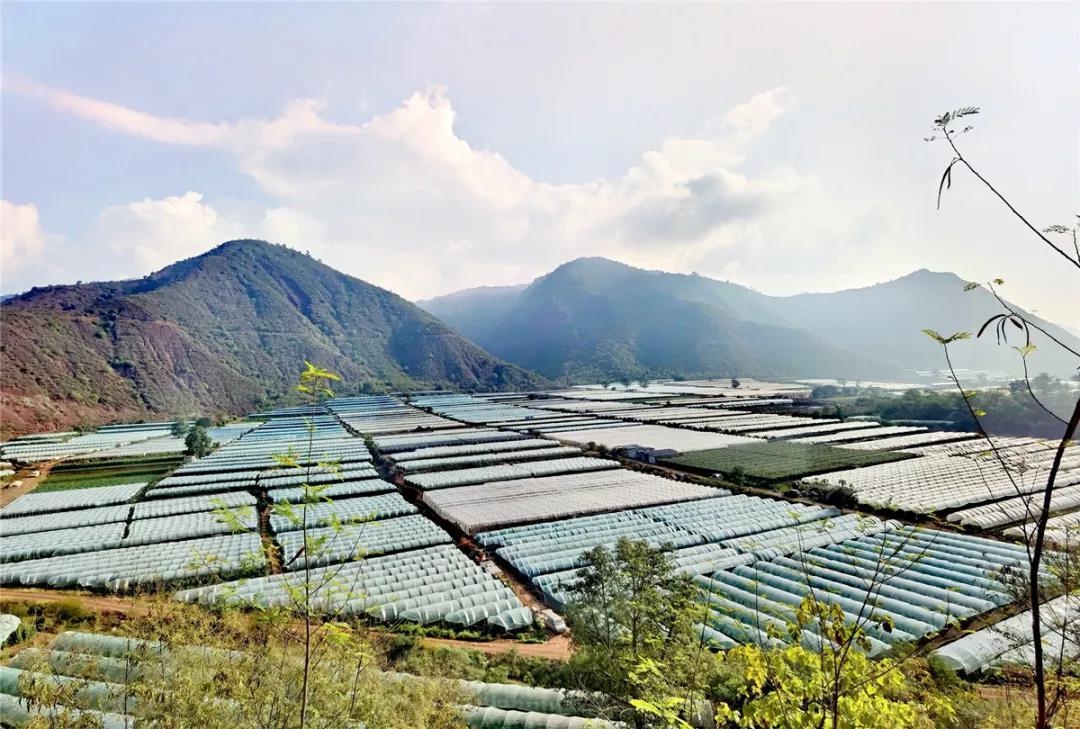 云南双柏大麦地镇:感受冬日暖阳 品味人间烟火