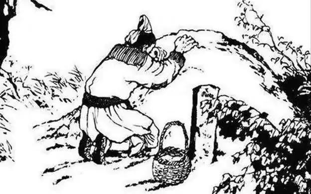 聊斋故事:采耳虫