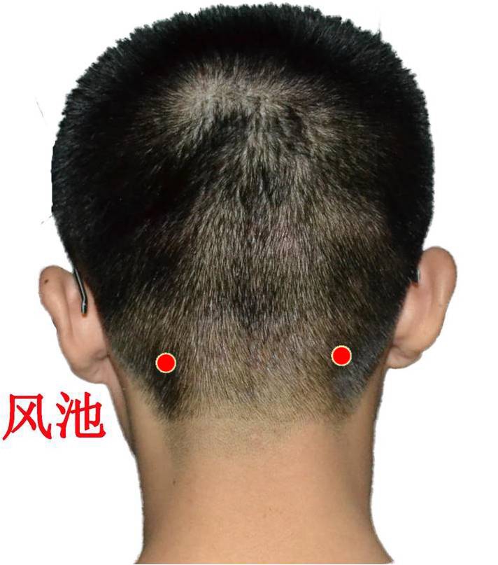 头疼,头晕,头蒙,失眠,记忆差,快快打开头部4把经络锁!