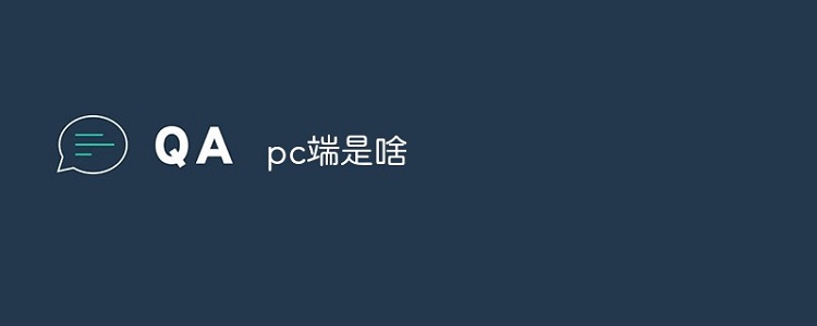 pc是什么意思图片