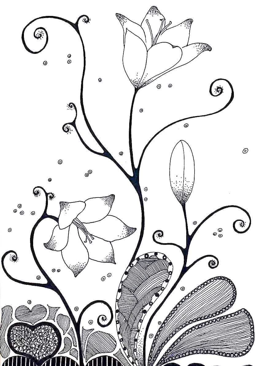 儿童线描画:探索线条的无穷魅力