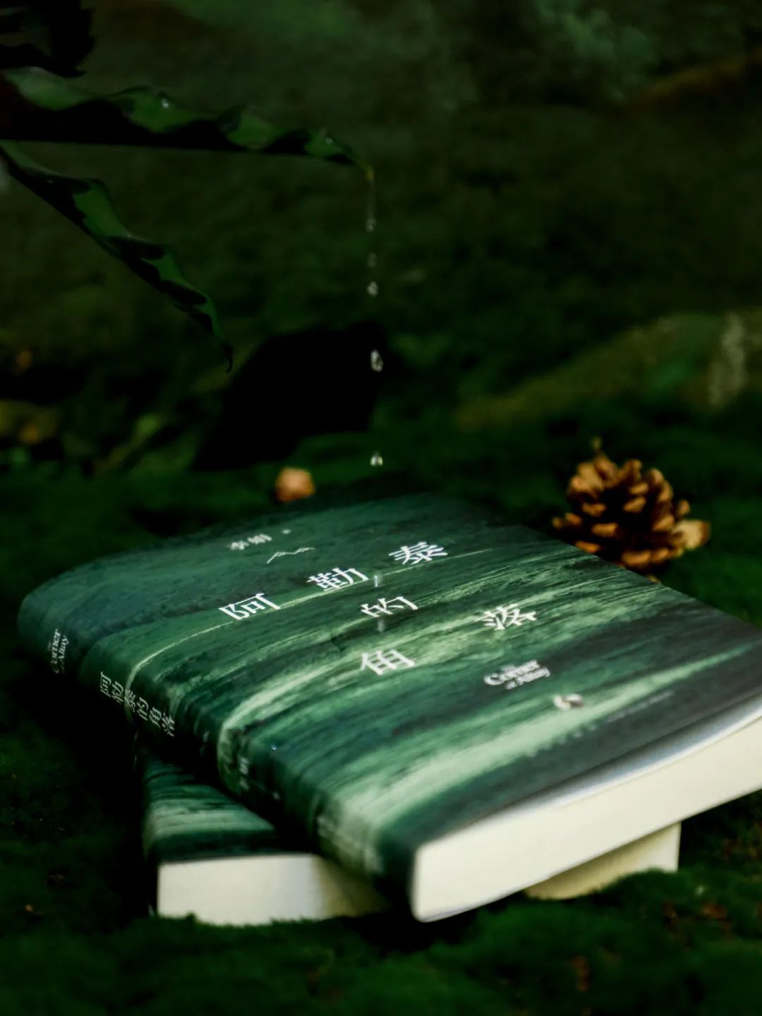 热播剧《我的阿勒泰》原著,李娟这套书根本看不够