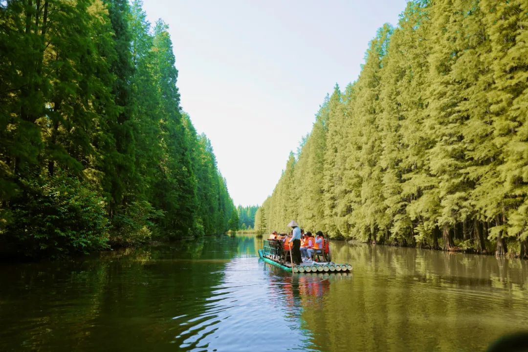 淮安金湖旅游景点大全图片