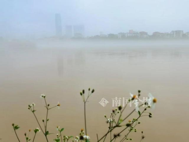 柳州现平流雾,未来一周南风天 雨,将进入"闷热"天气模式