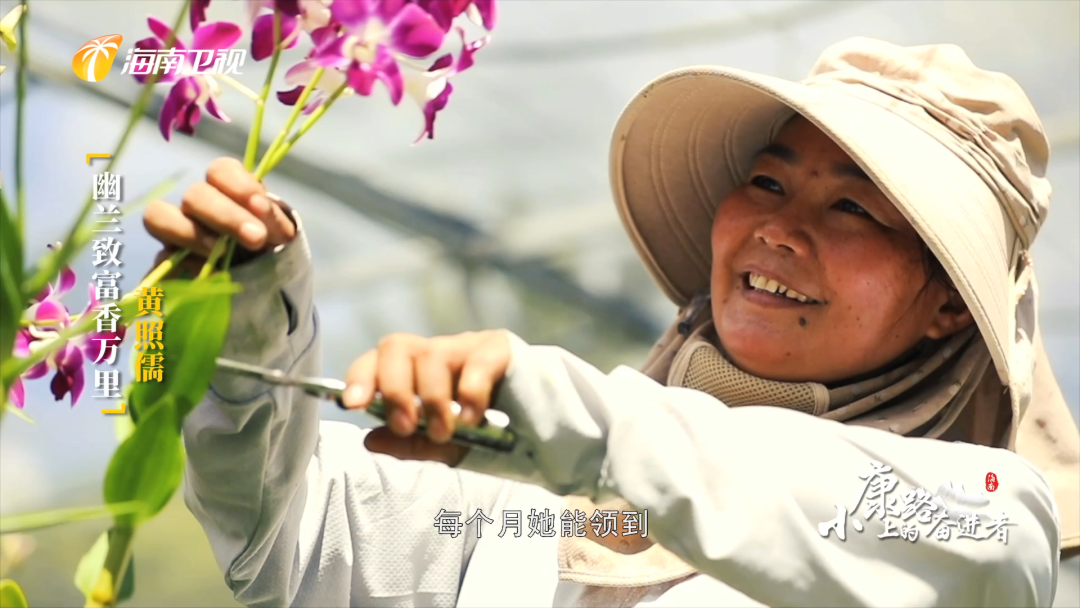 小康路上的奋进者|幽兰致富香万里 黄照儒