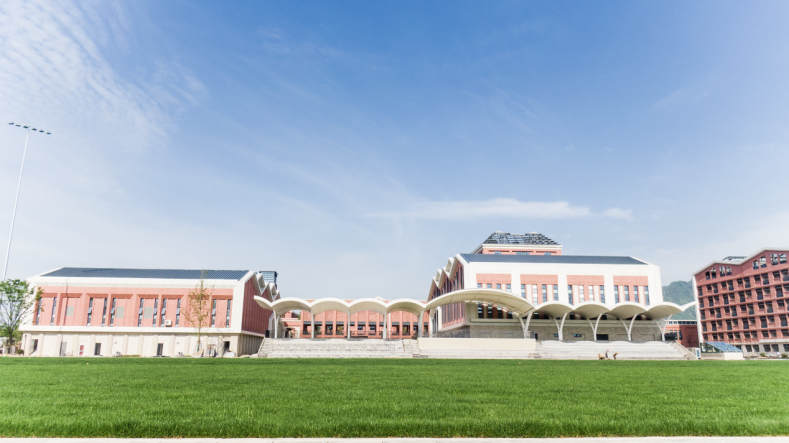 高考后,20人进入北京大学,清华大学,有的是通过竞赛保送,有的是通过